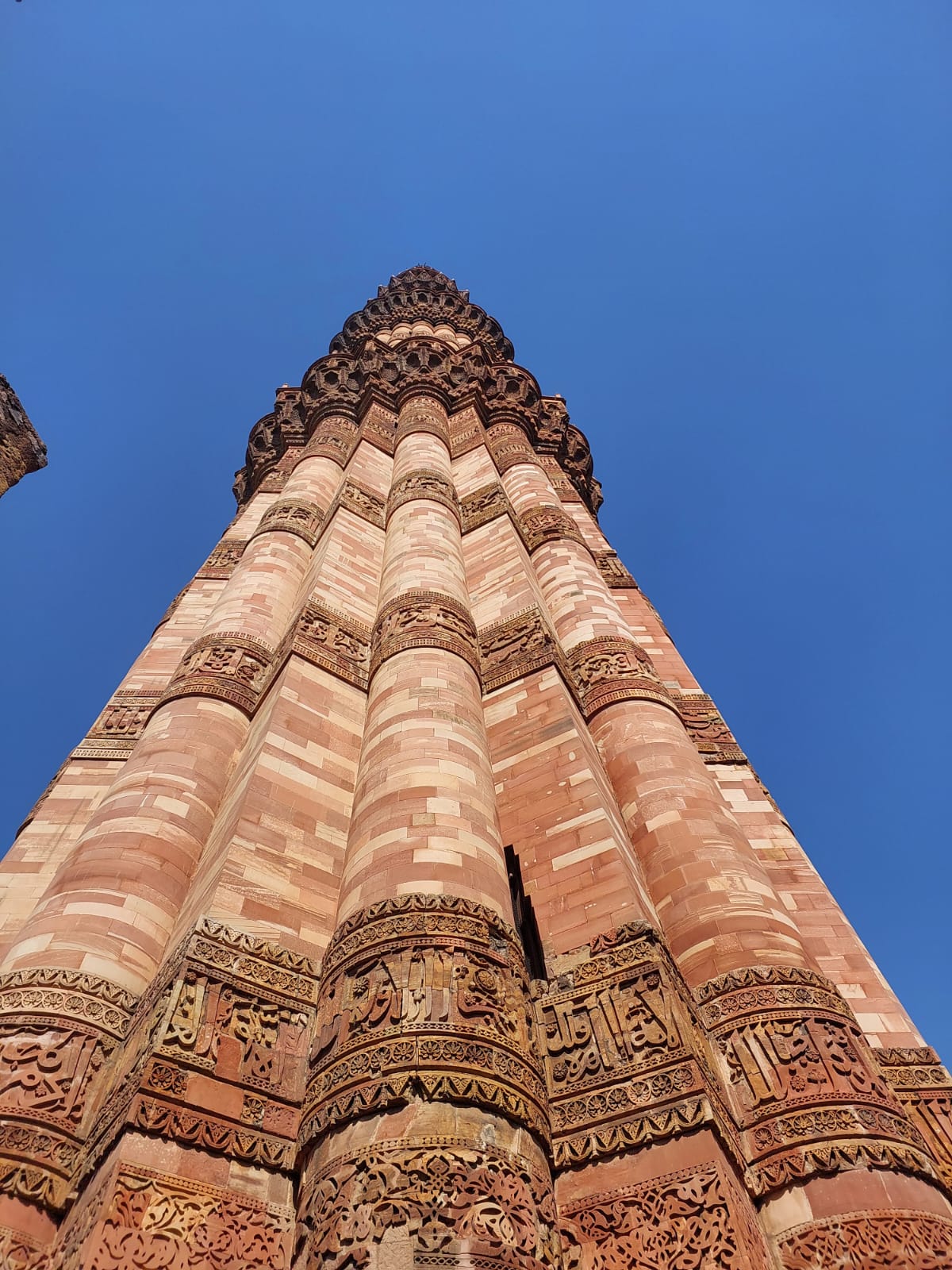 Travel with Locals India Logo