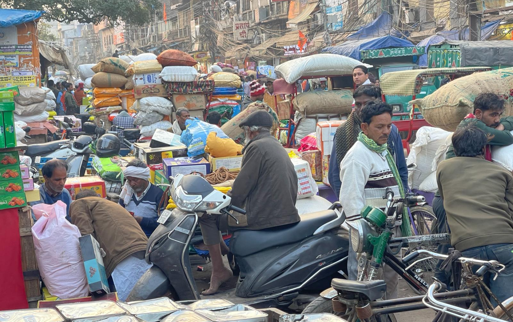 Travel with Locals India Logo